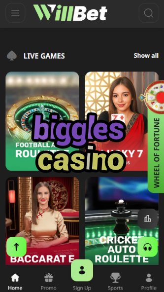 Biggles Casino - Aviation-Themed Casino-casinocasi.ydblkf.net